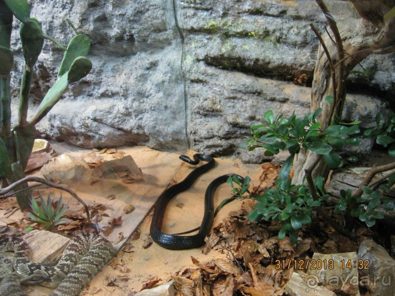 НОВЫЙ ГОД В СТОКГОЛЬМЕ. САМОСТОЯТЕЛЬНО