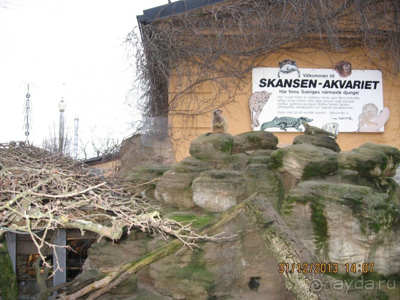 НОВЫЙ ГОД В СТОКГОЛЬМЕ. САМОСТОЯТЕЛЬНО