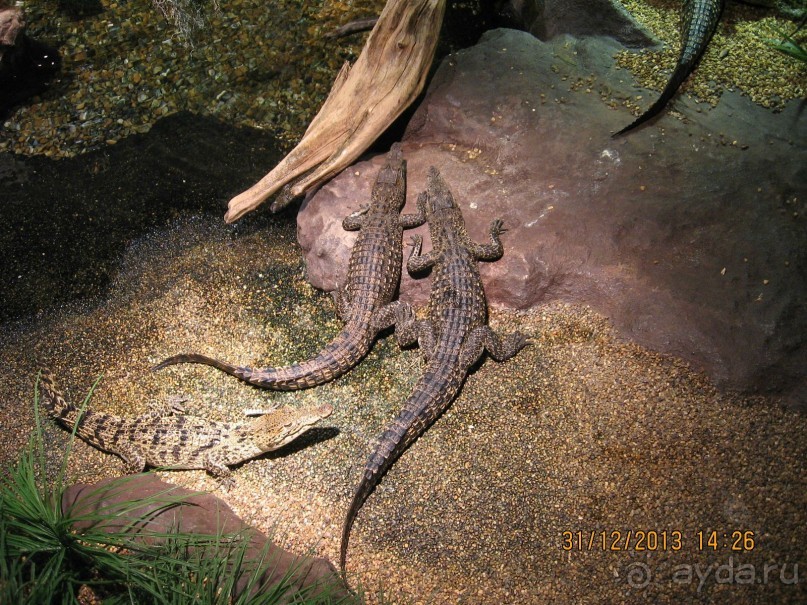 НОВЫЙ ГОД В СТОКГОЛЬМЕ. САМОСТОЯТЕЛЬНО