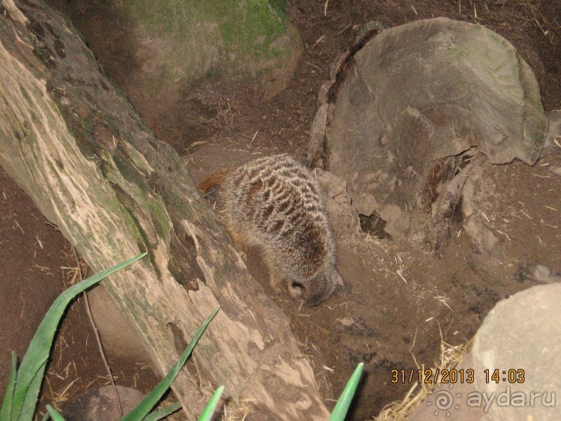 НОВЫЙ ГОД В СТОКГОЛЬМЕ. САМОСТОЯТЕЛЬНО