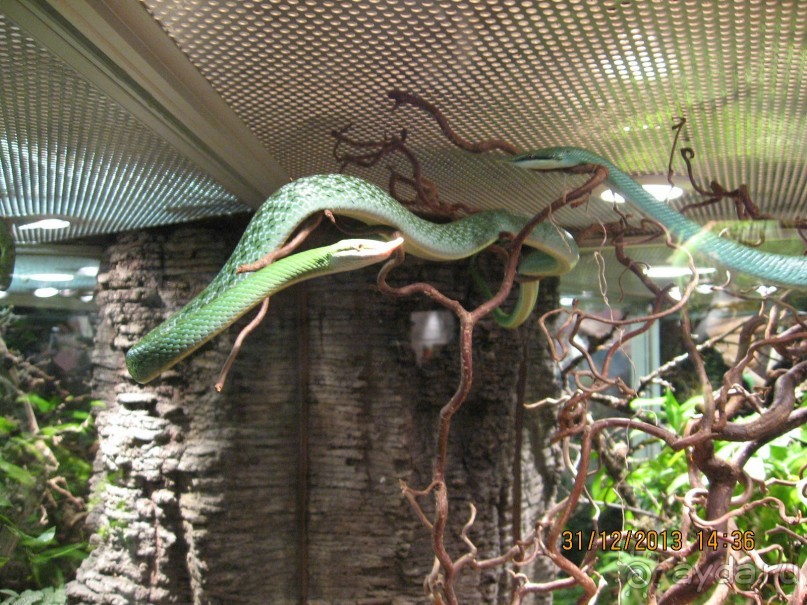 НОВЫЙ ГОД В СТОКГОЛЬМЕ. САМОСТОЯТЕЛЬНО