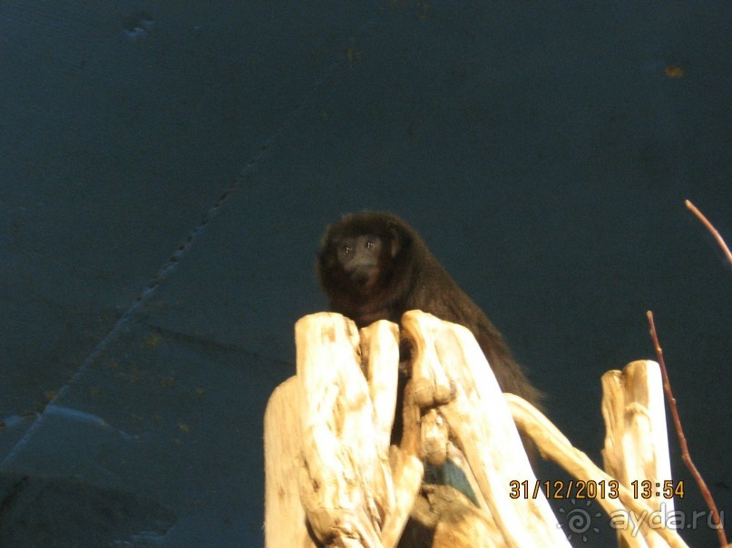 НОВЫЙ ГОД В СТОКГОЛЬМЕ. САМОСТОЯТЕЛЬНО