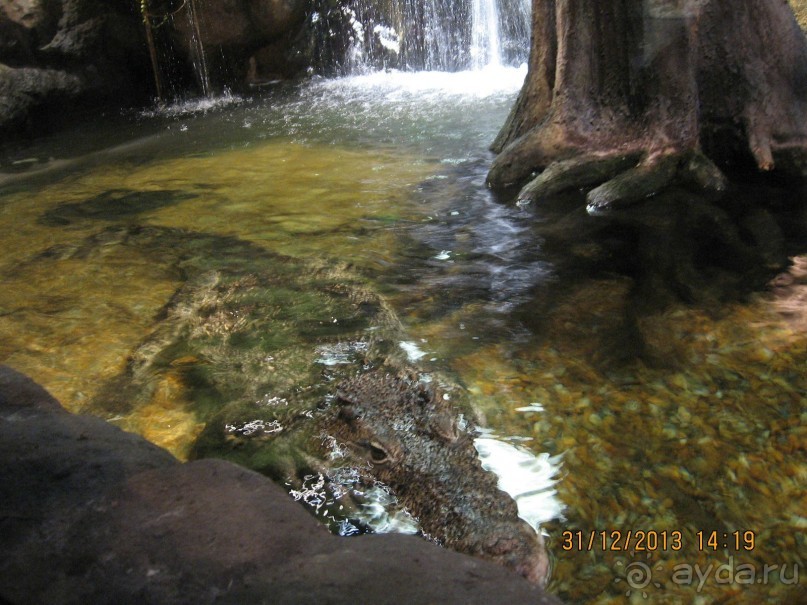 НОВЫЙ ГОД В СТОКГОЛЬМЕ. САМОСТОЯТЕЛЬНО