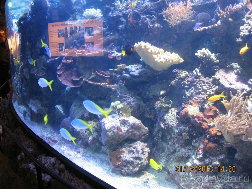 НОВЫЙ ГОД В СТОКГОЛЬМЕ. САМОСТОЯТЕЛЬНО