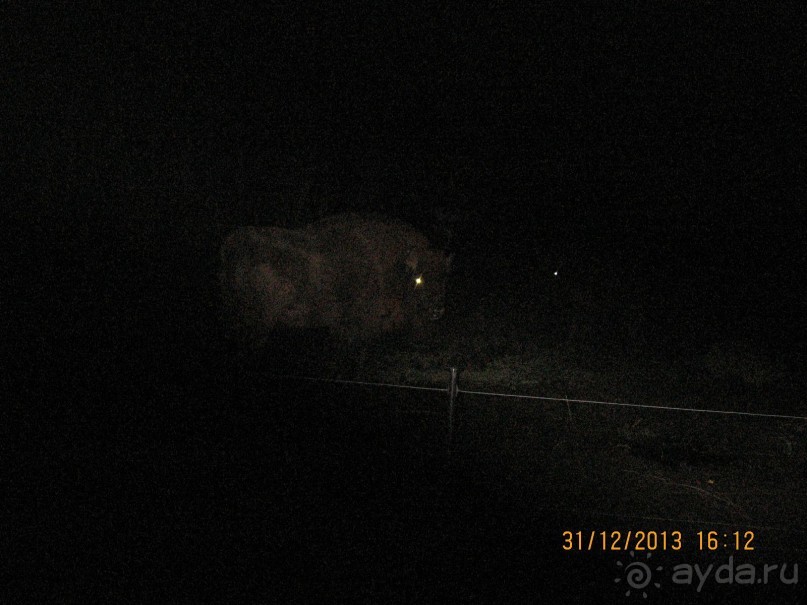 НОВЫЙ ГОД В СТОКГОЛЬМЕ. САМОСТОЯТЕЛЬНО