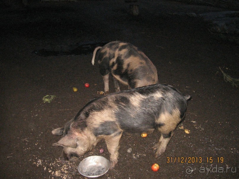 НОВЫЙ ГОД В СТОКГОЛЬМЕ. САМОСТОЯТЕЛЬНО