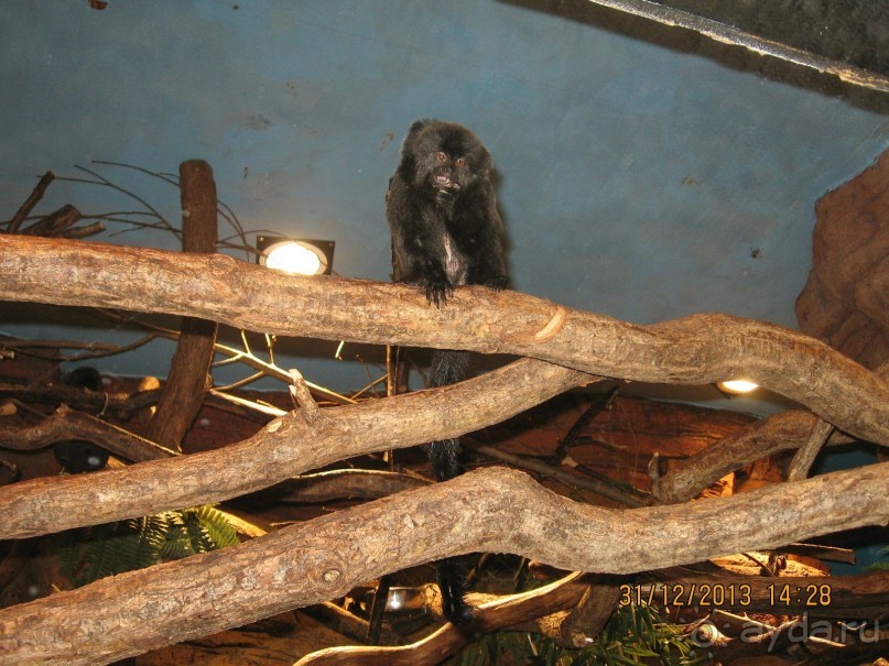 НОВЫЙ ГОД В СТОКГОЛЬМЕ. САМОСТОЯТЕЛЬНО