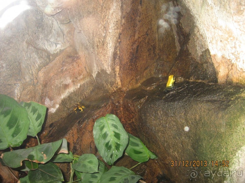 НОВЫЙ ГОД В СТОКГОЛЬМЕ. САМОСТОЯТЕЛЬНО