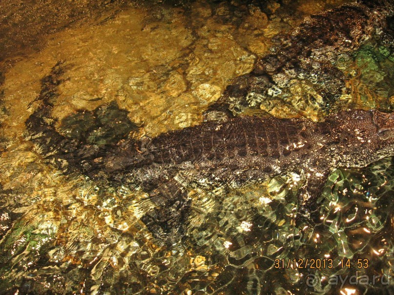 НОВЫЙ ГОД В СТОКГОЛЬМЕ. САМОСТОЯТЕЛЬНО
