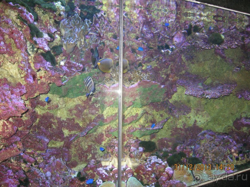 НОВЫЙ ГОД В СТОКГОЛЬМЕ. САМОСТОЯТЕЛЬНО