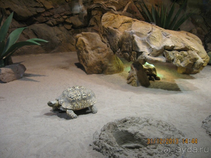 НОВЫЙ ГОД В СТОКГОЛЬМЕ. САМОСТОЯТЕЛЬНО