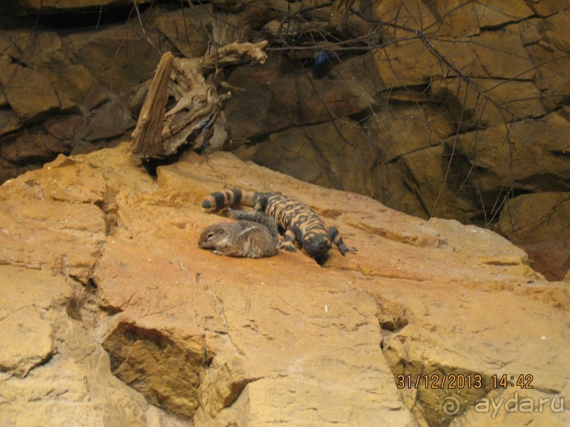 НОВЫЙ ГОД В СТОКГОЛЬМЕ. САМОСТОЯТЕЛЬНО