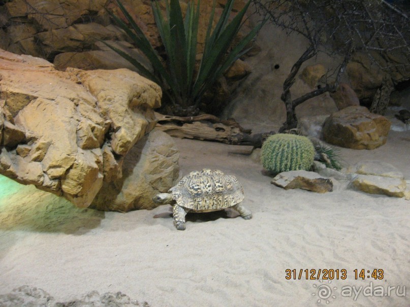 НОВЫЙ ГОД В СТОКГОЛЬМЕ. САМОСТОЯТЕЛЬНО