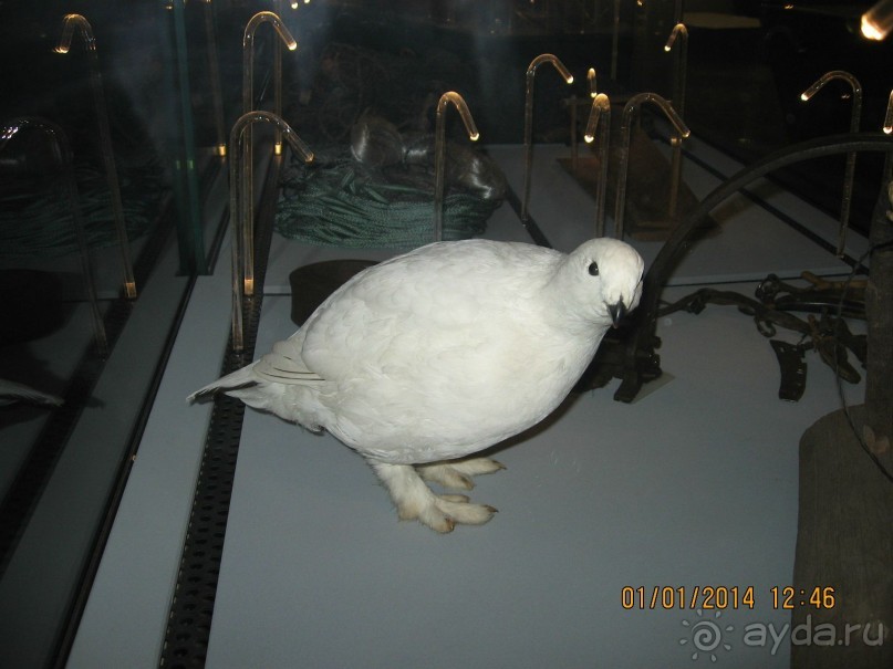 НОВЫЙ ГОД В СТОКГОЛЬМЕ. САМОСТОЯТЕЛЬНО