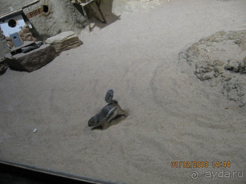 НОВЫЙ ГОД В СТОКГОЛЬМЕ. САМОСТОЯТЕЛЬНО