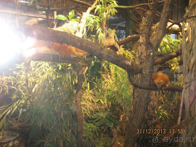 НОВЫЙ ГОД В СТОКГОЛЬМЕ. САМОСТОЯТЕЛЬНО