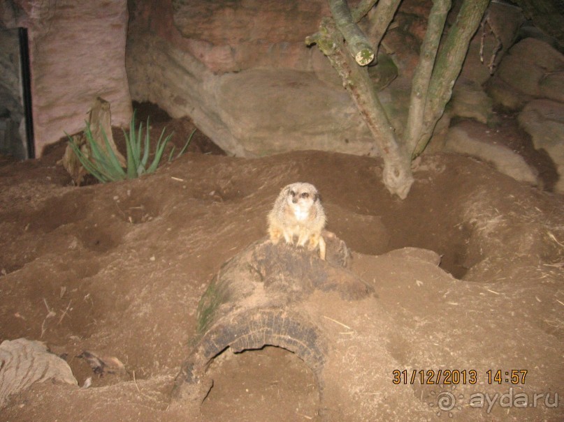 НОВЫЙ ГОД В СТОКГОЛЬМЕ. САМОСТОЯТЕЛЬНО