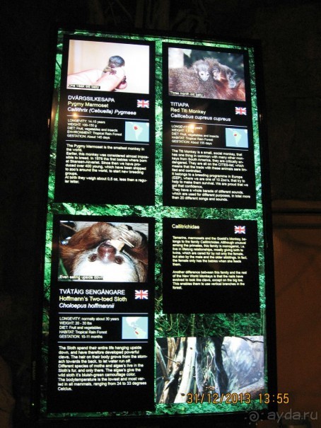 НОВЫЙ ГОД В СТОКГОЛЬМЕ. САМОСТОЯТЕЛЬНО