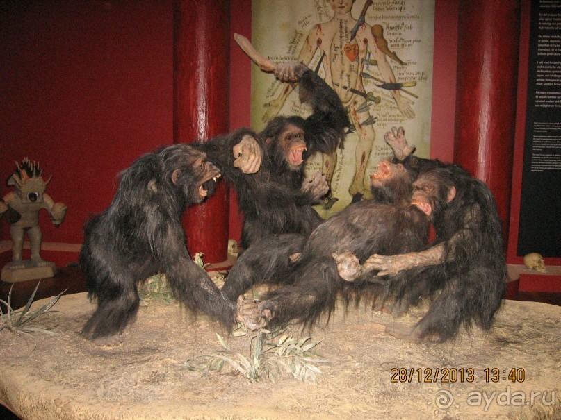 НОВЫЙ ГОД В СТОКГОЛЬМЕ. САМОСТОЯТЕЛЬНО