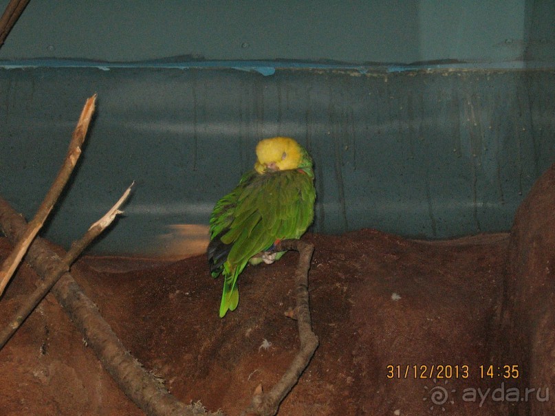 НОВЫЙ ГОД В СТОКГОЛЬМЕ. САМОСТОЯТЕЛЬНО