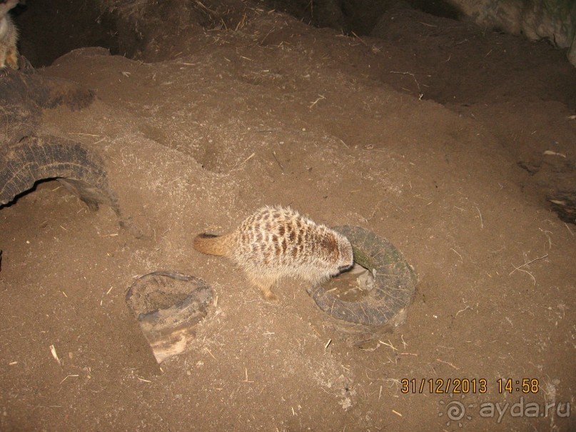 НОВЫЙ ГОД В СТОКГОЛЬМЕ. САМОСТОЯТЕЛЬНО