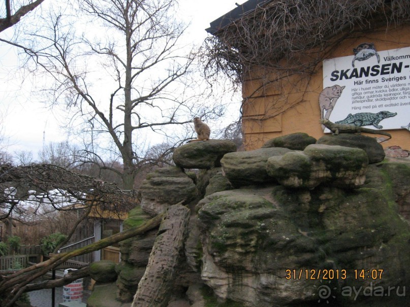 НОВЫЙ ГОД В СТОКГОЛЬМЕ. САМОСТОЯТЕЛЬНО