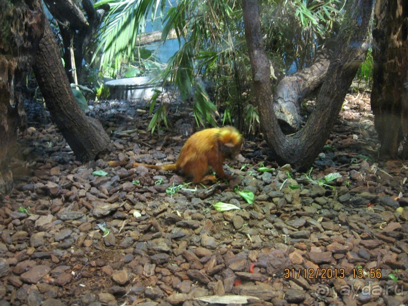 НОВЫЙ ГОД В СТОКГОЛЬМЕ. САМОСТОЯТЕЛЬНО