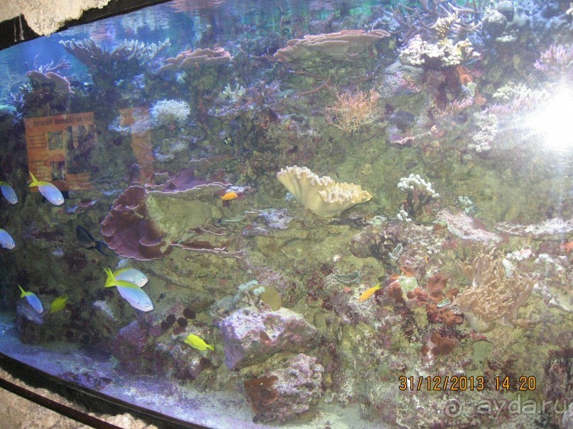 НОВЫЙ ГОД В СТОКГОЛЬМЕ. САМОСТОЯТЕЛЬНО