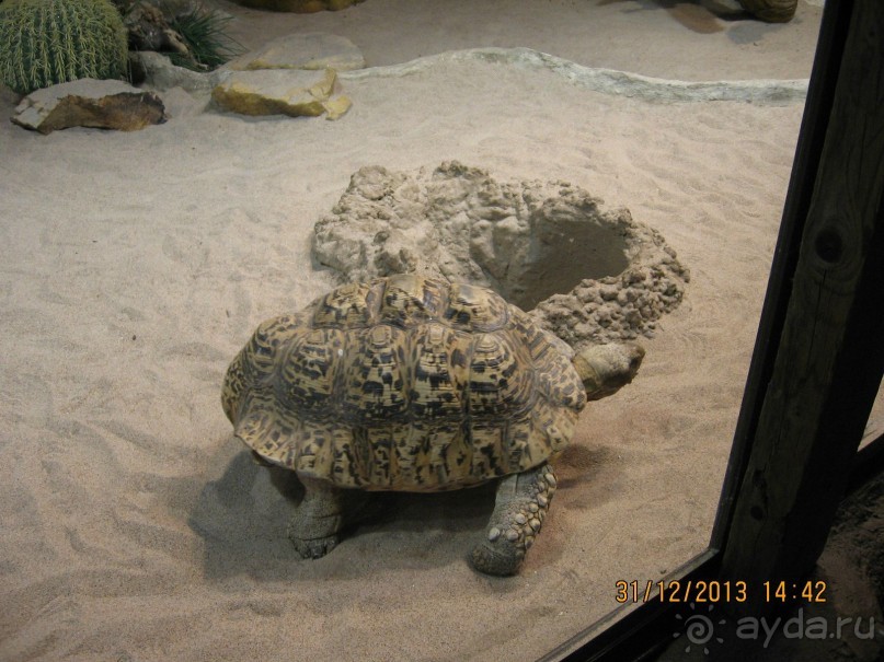 НОВЫЙ ГОД В СТОКГОЛЬМЕ. САМОСТОЯТЕЛЬНО