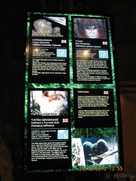 НОВЫЙ ГОД В СТОКГОЛЬМЕ. САМОСТОЯТЕЛЬНО