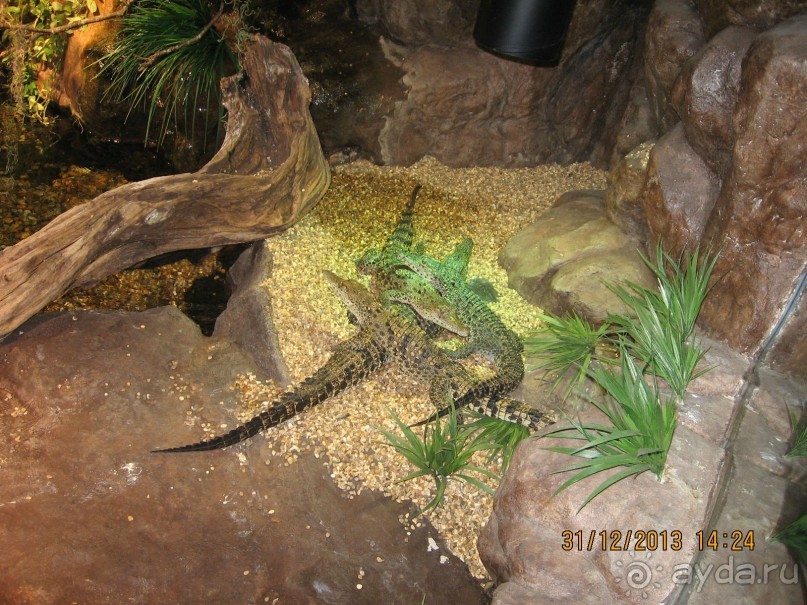 НОВЫЙ ГОД В СТОКГОЛЬМЕ. САМОСТОЯТЕЛЬНО