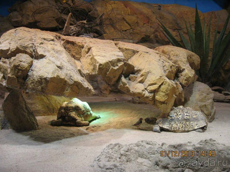 НОВЫЙ ГОД В СТОКГОЛЬМЕ. САМОСТОЯТЕЛЬНО