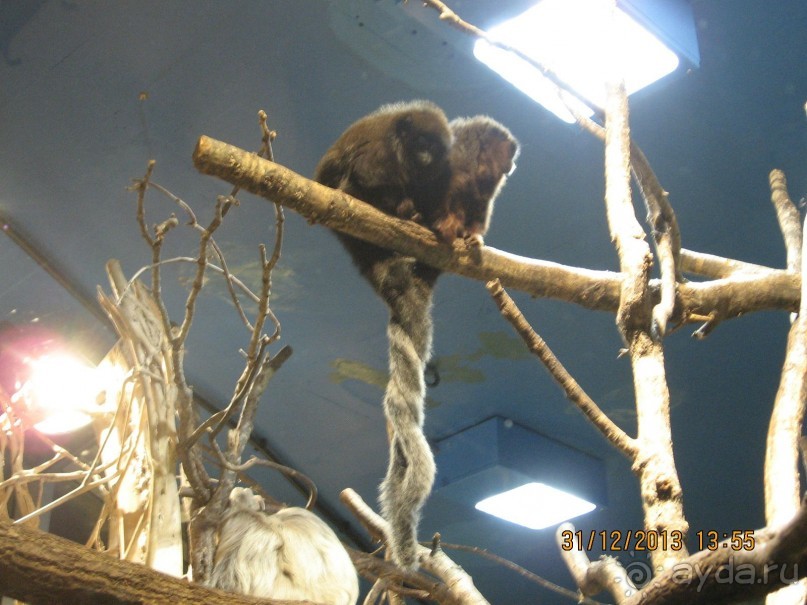 НОВЫЙ ГОД В СТОКГОЛЬМЕ. САМОСТОЯТЕЛЬНО