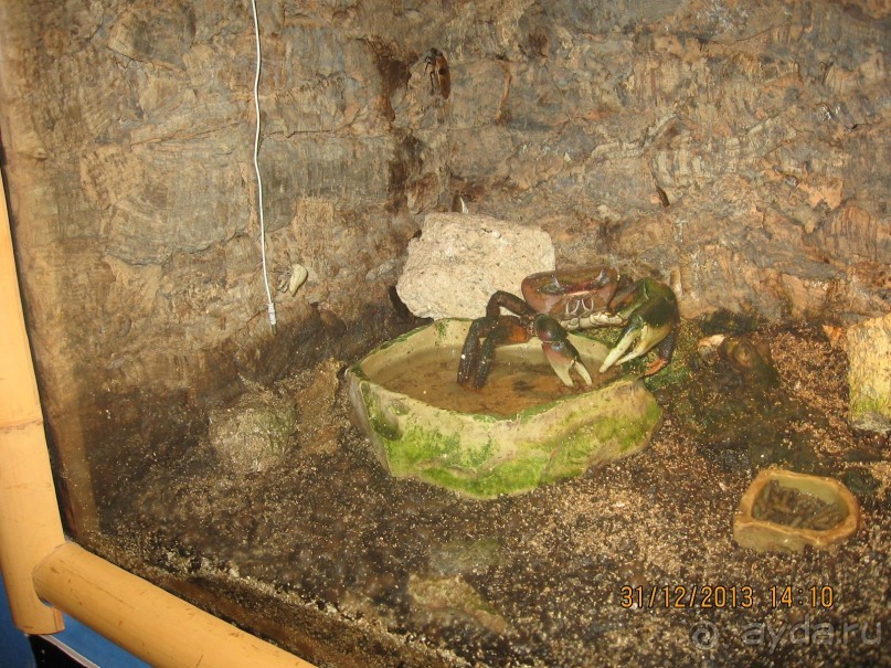 НОВЫЙ ГОД В СТОКГОЛЬМЕ. САМОСТОЯТЕЛЬНО