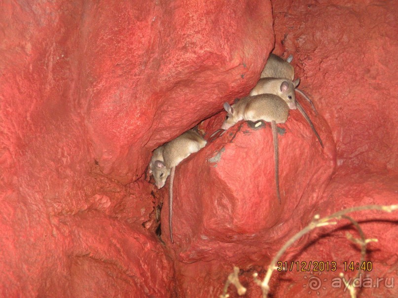 НОВЫЙ ГОД В СТОКГОЛЬМЕ. САМОСТОЯТЕЛЬНО