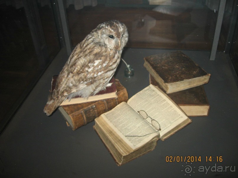 НОВЫЙ ГОД В СТОКГОЛЬМЕ. САМОСТОЯТЕЛЬНО