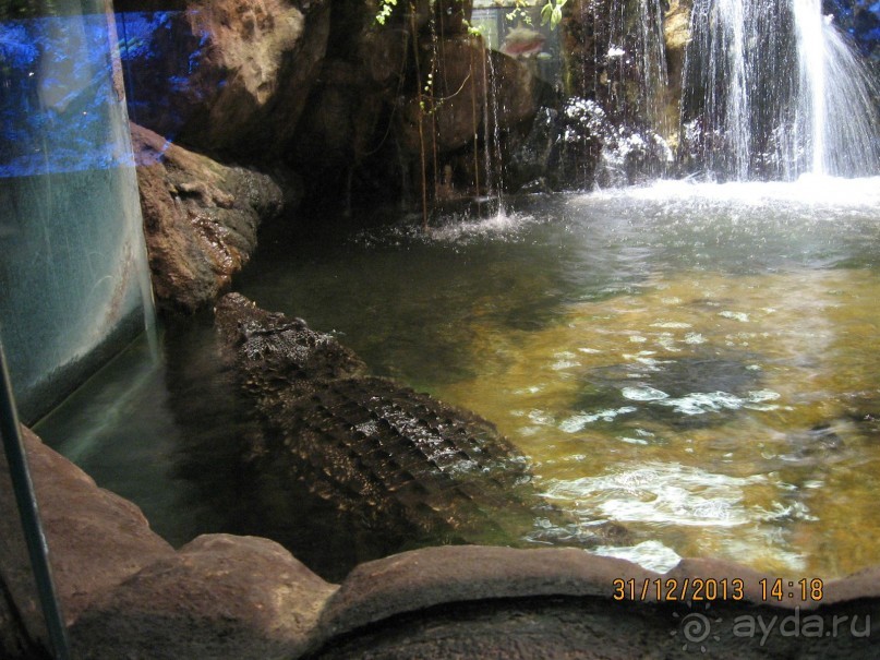 НОВЫЙ ГОД В СТОКГОЛЬМЕ. САМОСТОЯТЕЛЬНО