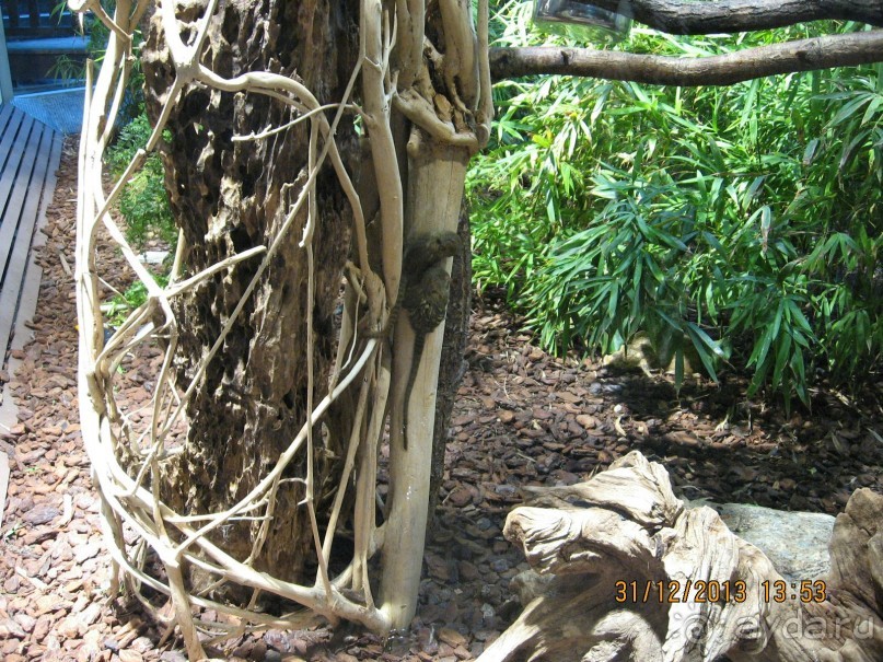 НОВЫЙ ГОД В СТОКГОЛЬМЕ. САМОСТОЯТЕЛЬНО