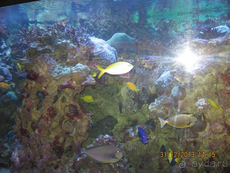 НОВЫЙ ГОД В СТОКГОЛЬМЕ. САМОСТОЯТЕЛЬНО