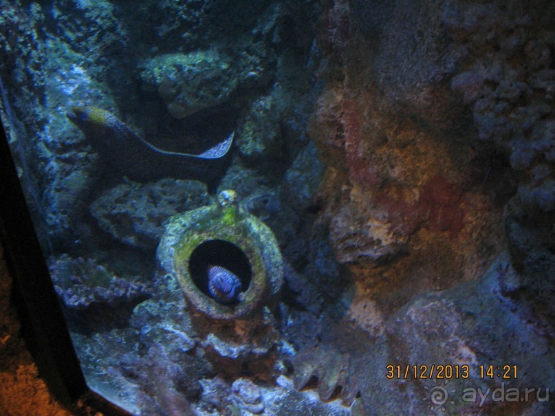 НОВЫЙ ГОД В СТОКГОЛЬМЕ. САМОСТОЯТЕЛЬНО