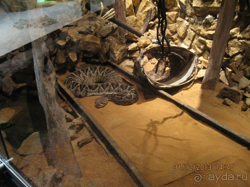 НОВЫЙ ГОД В СТОКГОЛЬМЕ. САМОСТОЯТЕЛЬНО