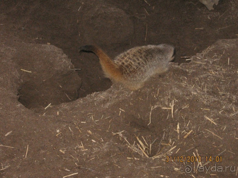 НОВЫЙ ГОД В СТОКГОЛЬМЕ. САМОСТОЯТЕЛЬНО