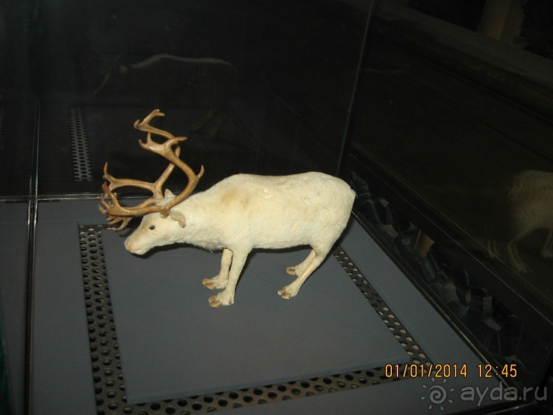 НОВЫЙ ГОД В СТОКГОЛЬМЕ. САМОСТОЯТЕЛЬНО