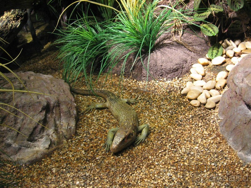 НОВЫЙ ГОД В СТОКГОЛЬМЕ. САМОСТОЯТЕЛЬНО