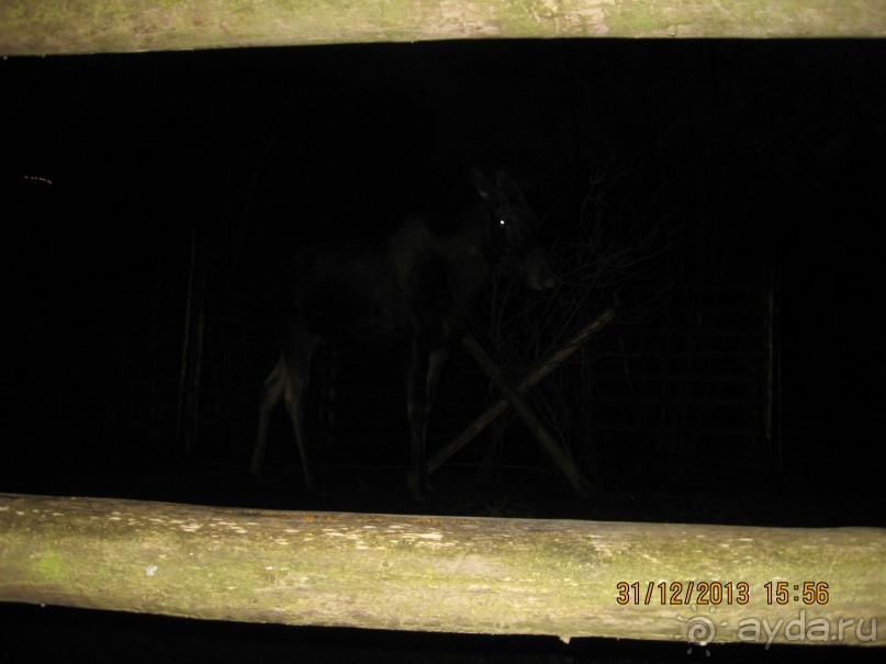 НОВЫЙ ГОД В СТОКГОЛЬМЕ. САМОСТОЯТЕЛЬНО