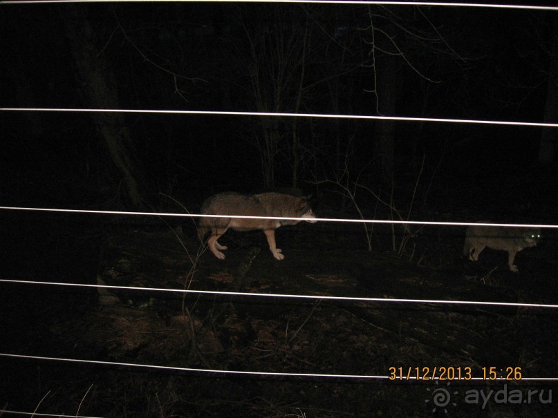 НОВЫЙ ГОД В СТОКГОЛЬМЕ. САМОСТОЯТЕЛЬНО