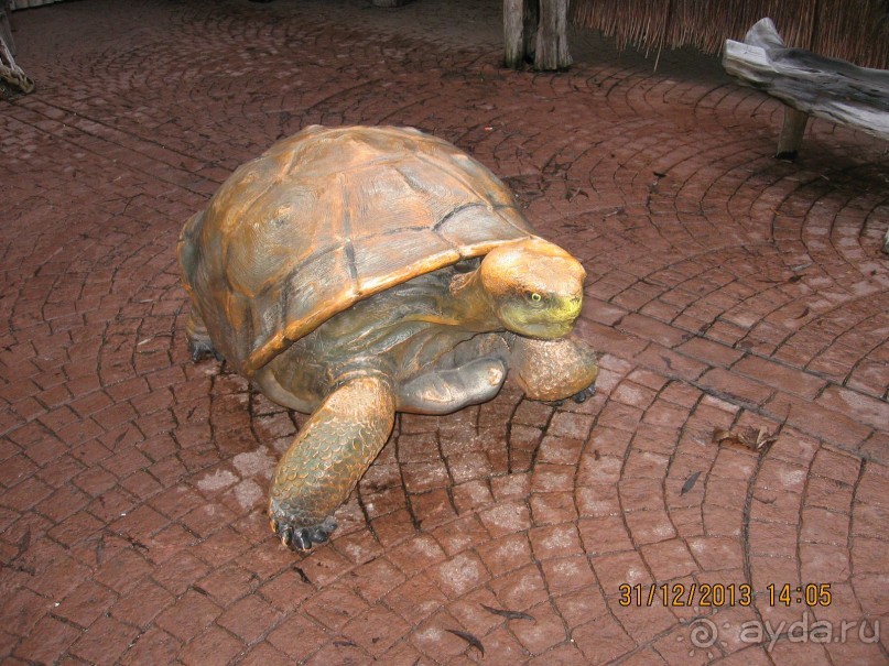 НОВЫЙ ГОД В СТОКГОЛЬМЕ. САМОСТОЯТЕЛЬНО