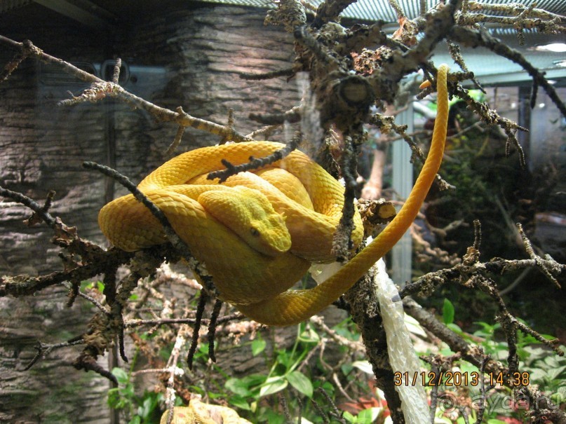 НОВЫЙ ГОД В СТОКГОЛЬМЕ. САМОСТОЯТЕЛЬНО