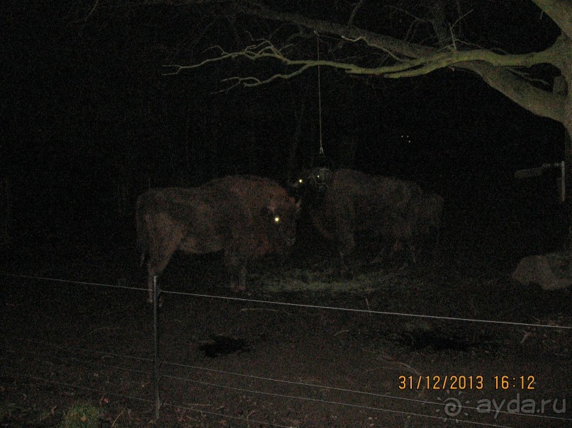 НОВЫЙ ГОД В СТОКГОЛЬМЕ. САМОСТОЯТЕЛЬНО