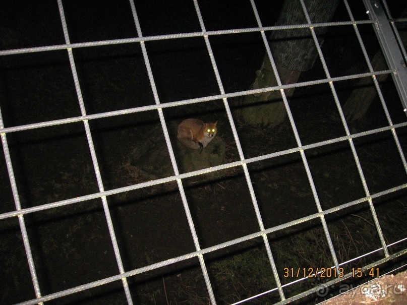 НОВЫЙ ГОД В СТОКГОЛЬМЕ. САМОСТОЯТЕЛЬНО